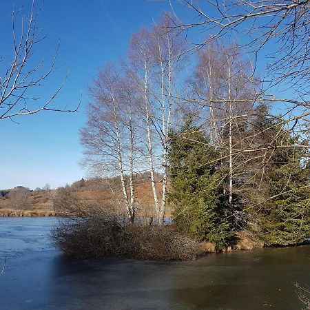 Saint-Donat Fermette Typique Auvergnate Dans Son Ecrin D'Eau Et De Verdure מראה חיצוני תמונה