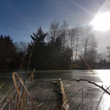 Saint-Donat Fermette Typique Auvergnate Dans Son Ecrin D'Eau Et De Verdure מראה חיצוני תמונה
