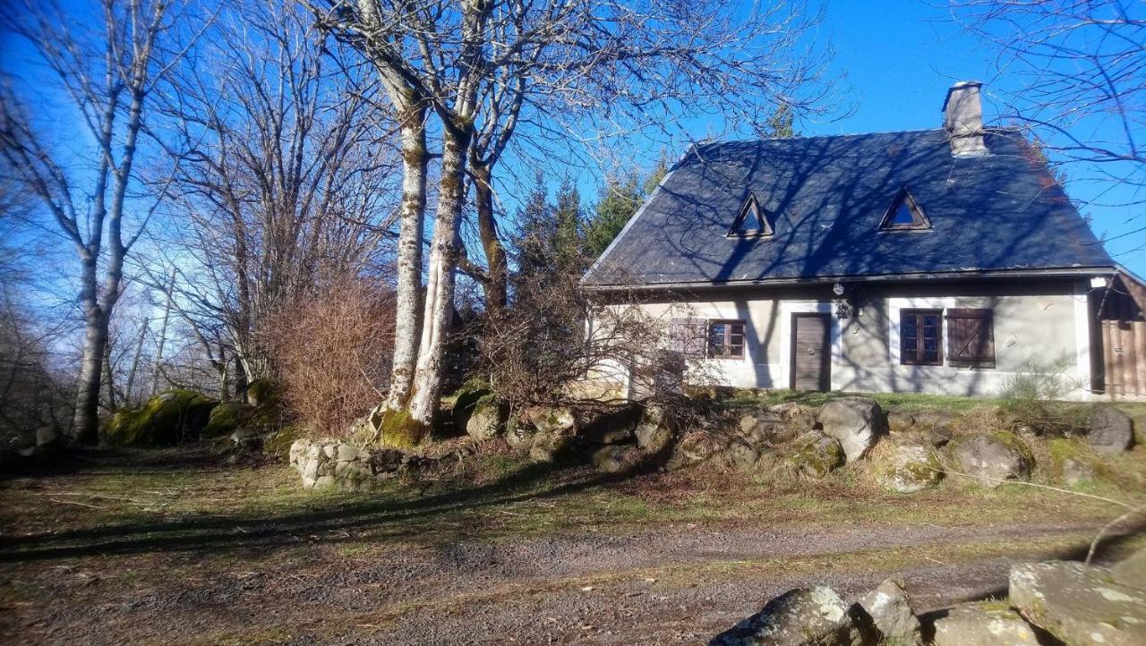 Saint-Donat Fermette Typique Auvergnate Dans Son Ecrin D'Eau Et De Verdure מראה חיצוני תמונה