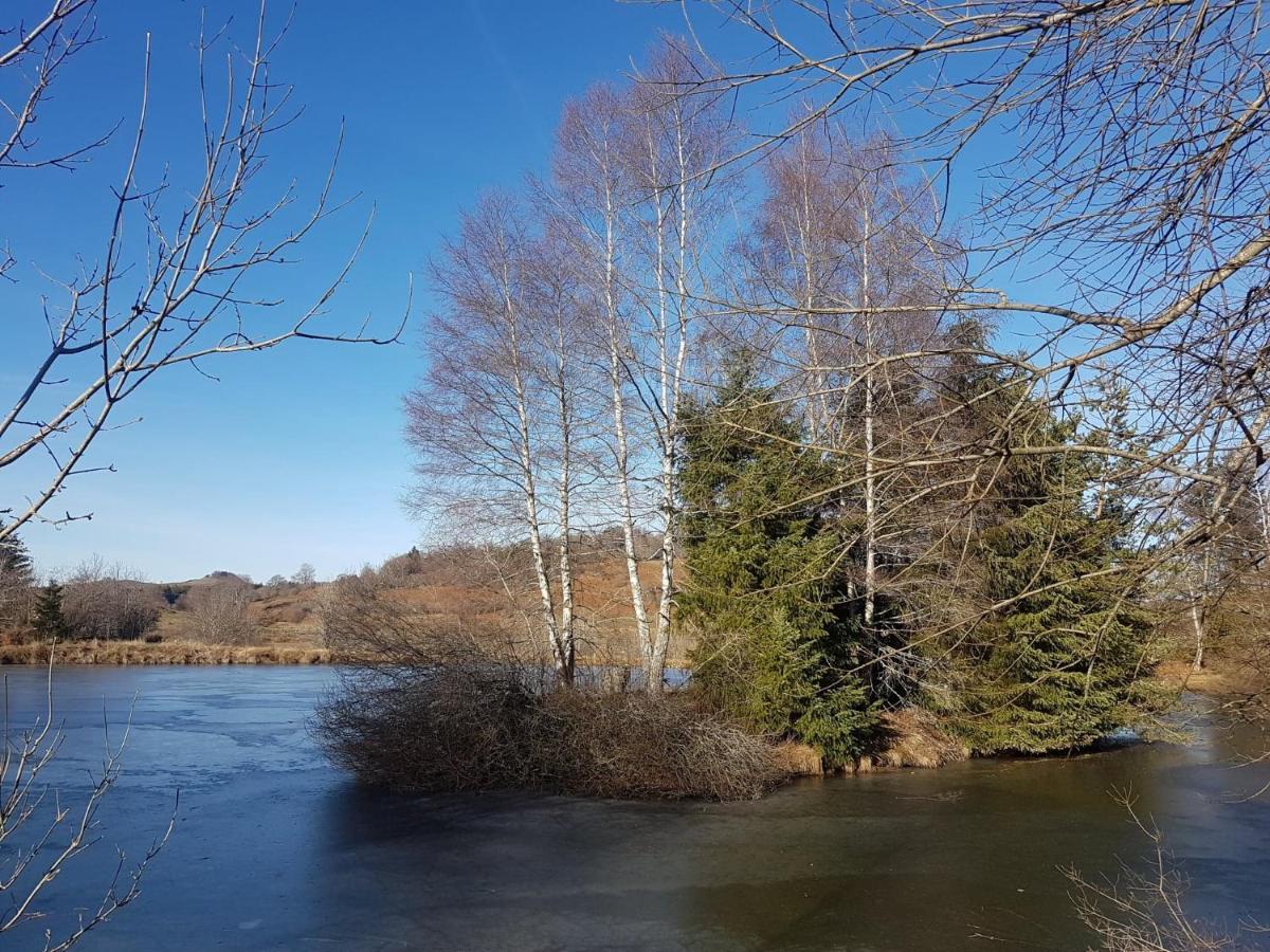 Saint-Donat Fermette Typique Auvergnate Dans Son Ecrin D'Eau Et De Verdure מראה חיצוני תמונה