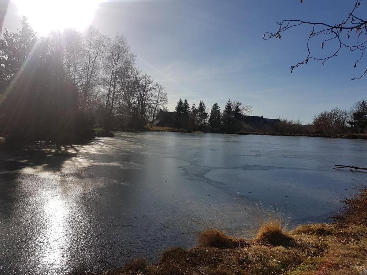 Saint-Donat Fermette Typique Auvergnate Dans Son Ecrin D'Eau Et De Verdure מראה חיצוני תמונה